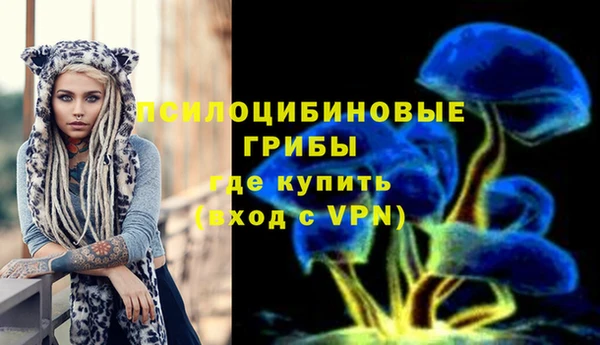хмурый Волосово