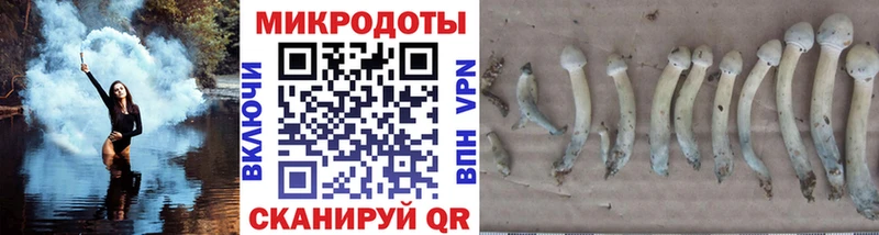 Галлюциногенные грибы Cubensis  Купить закладки  Циолковский 