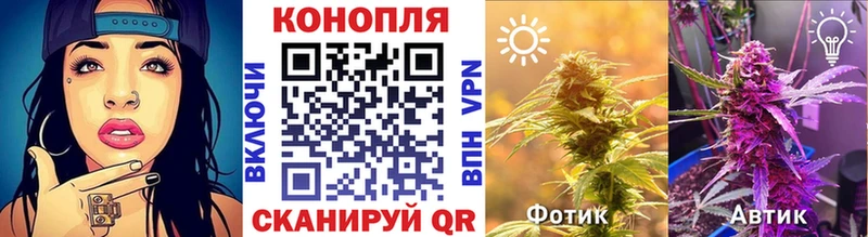 Марихуана индика Купить закладки Циолковский